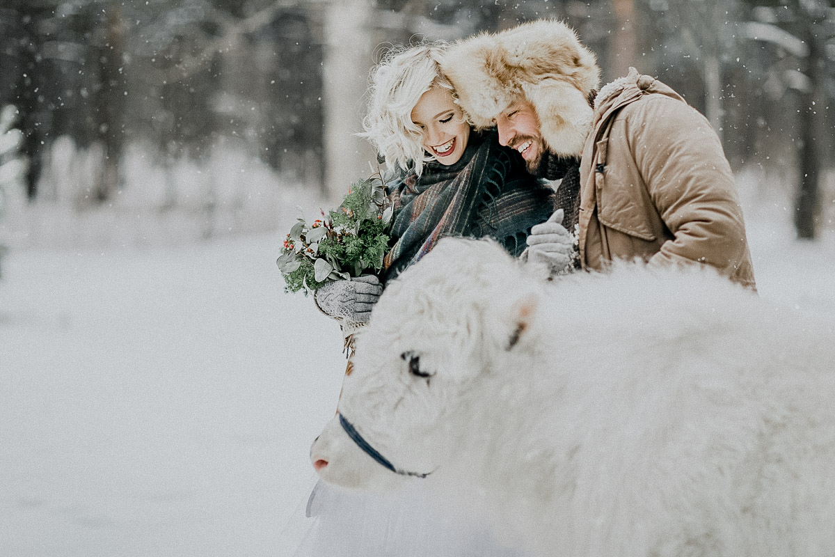 Фотосессии с животными